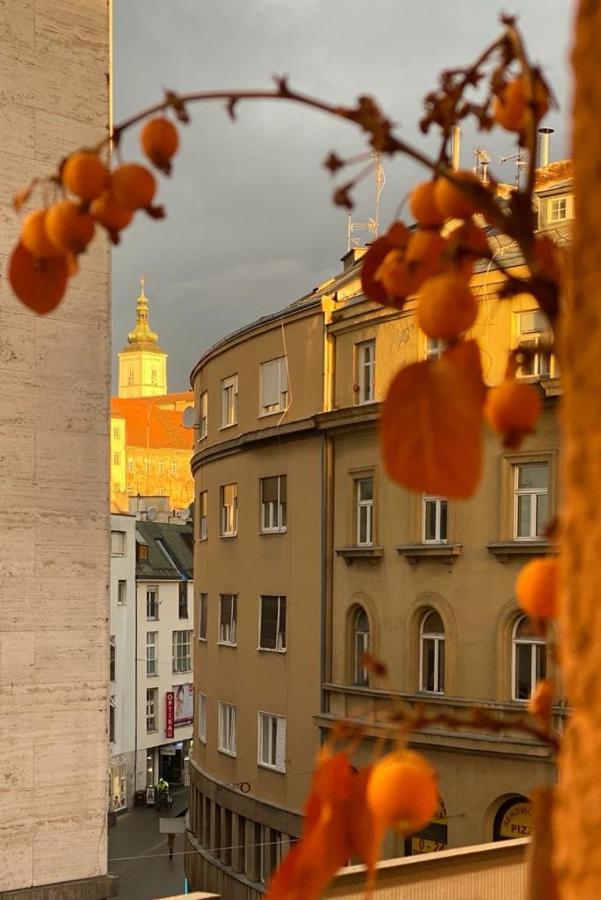Main Square Dream Apartment Zagreb Buitenkant foto